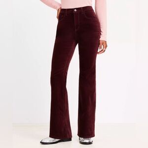 Five Pocket Slim Flare Pants in velvet